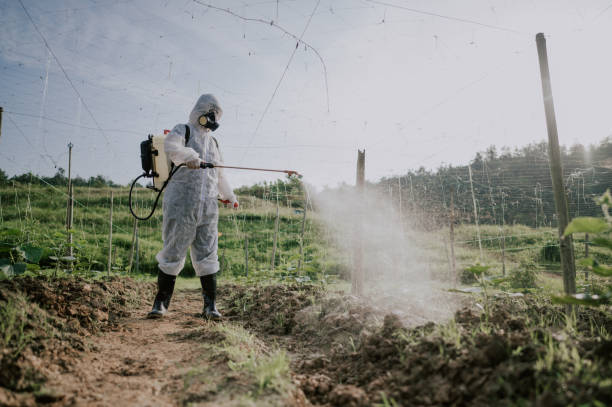 Best Commercial Pest Control Services  in Bull Run, VA