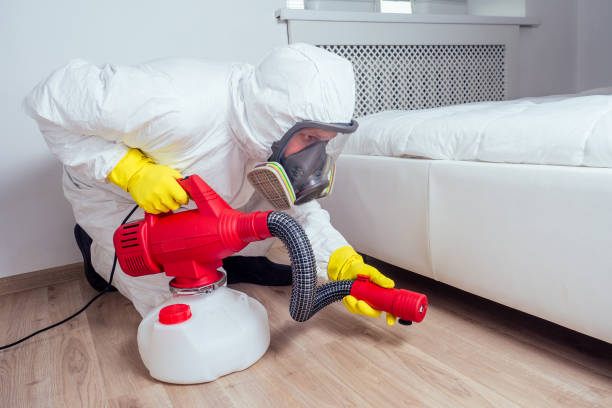 Best Bed Bug Extermination  in Bull Run, VA