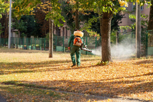 Best Local Pest Control Services  in Bull Run, VA