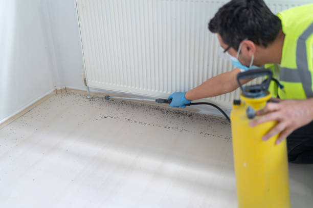 Best Affordable Pest Control Services  in Bull Run, VA