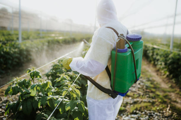 Best Affordable Pest Control Services  in Bull Run, VA